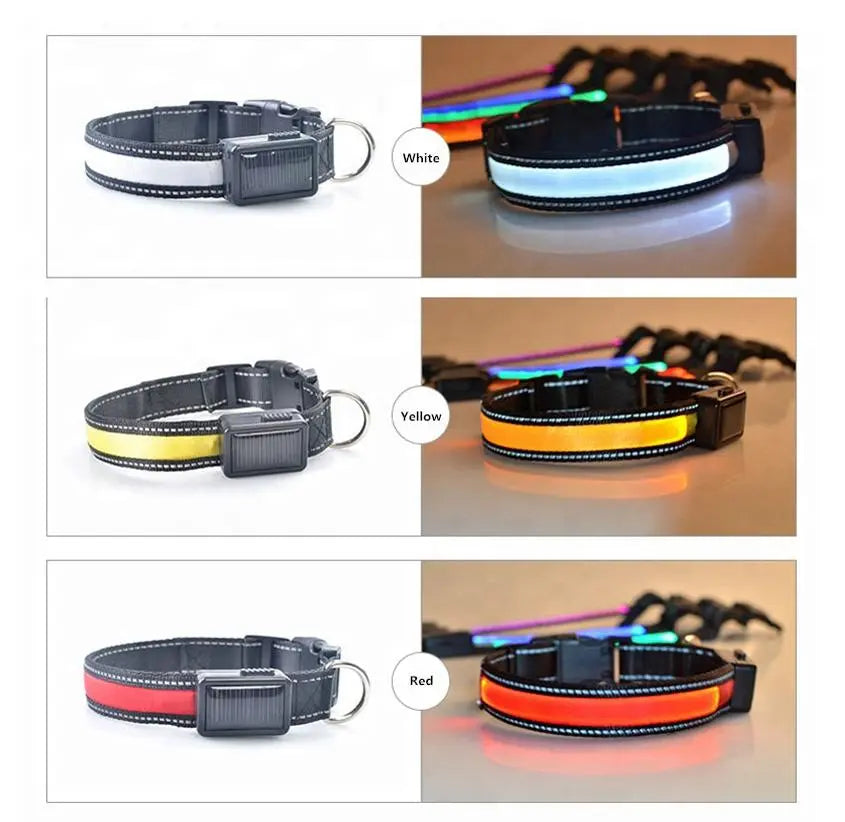 USB and Solar Charge Reflective Led Dog Collar Tan Cress