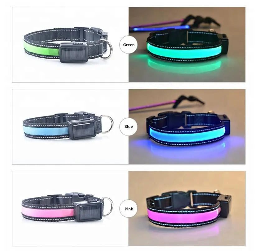 USB and Solar Charge Reflective Led Dog Collar Tan Cress