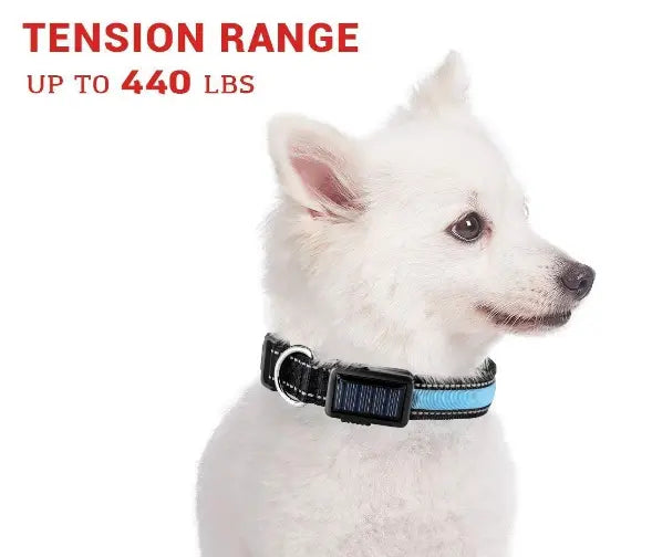 USB and Solar Charge Reflective Led Dog Collar Tan Cress